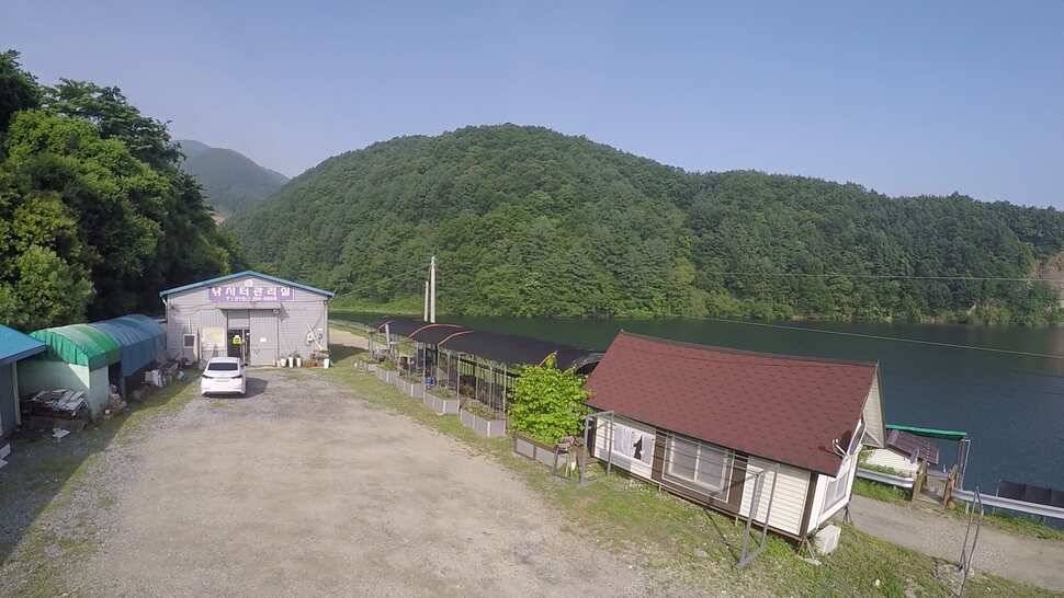 오산나그네의 제천선고지낚시터 조행기 (유료터정보 - 유료터조행기)