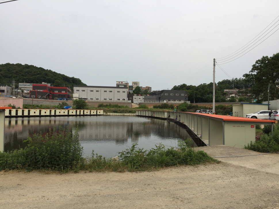 오산나그네의 화성 관리낚시터 조행기 (유료터정보 - 유료터조행기)