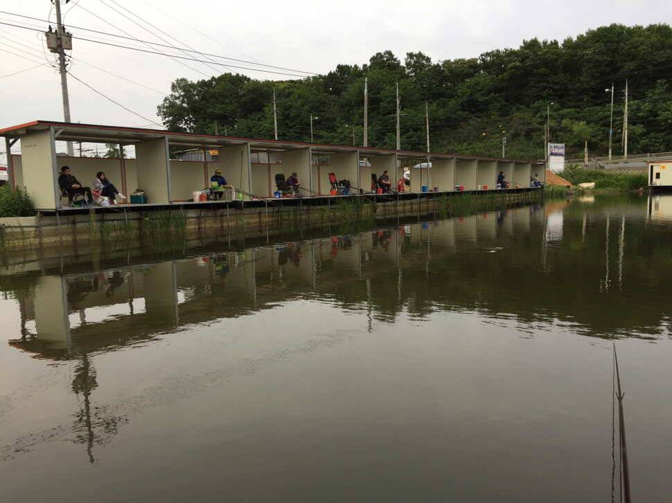 오산나그네의 화성 관리낚시터 조행기 (유료터정보 - 유료터조행기)