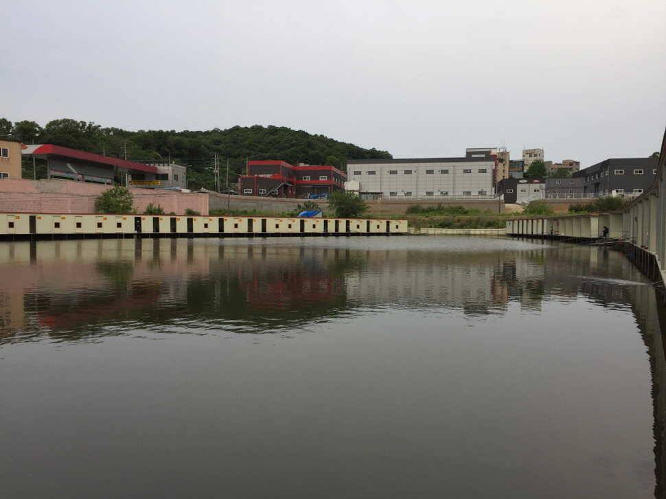 오산나그네의 화성 관리낚시터 조행기 (유료터정보 - 유료터조행기)