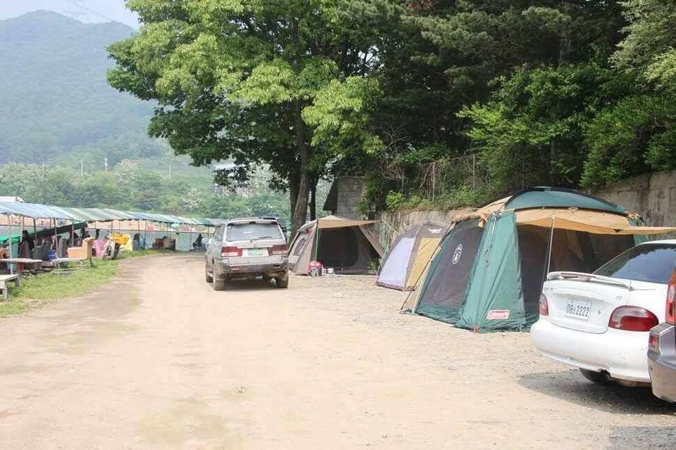 지금 진우낚시터는 붕어가 대박 (유료터정보 - 유료터조행기)