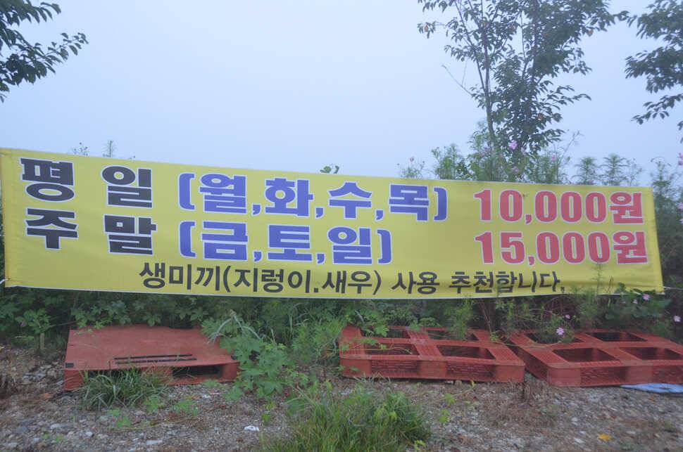 다시 찾은 봉교 낚시터 (유료터정보 - 유료터조행기)