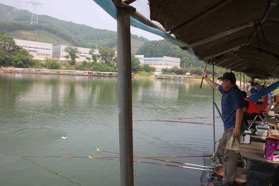 지금 진우낚시터는 붕어가 대박 (유료터정보 - 유료터조행기)