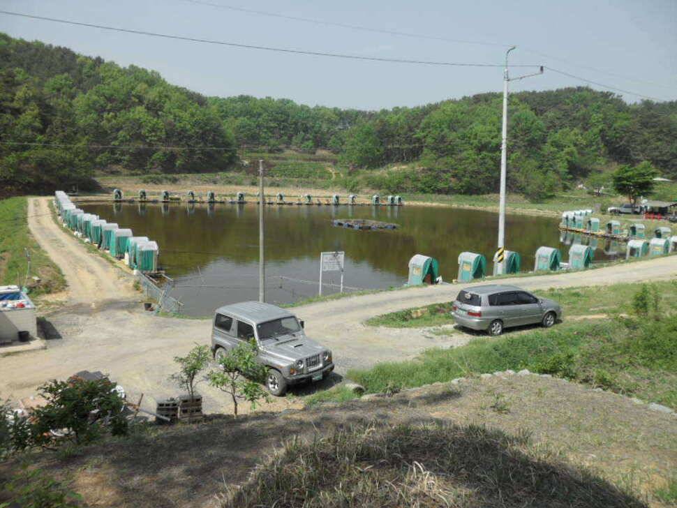 ★★★★★ 대박입니다 띄밭 낚시터 ★★★★★ (유료터정보 - 유료터조행기)