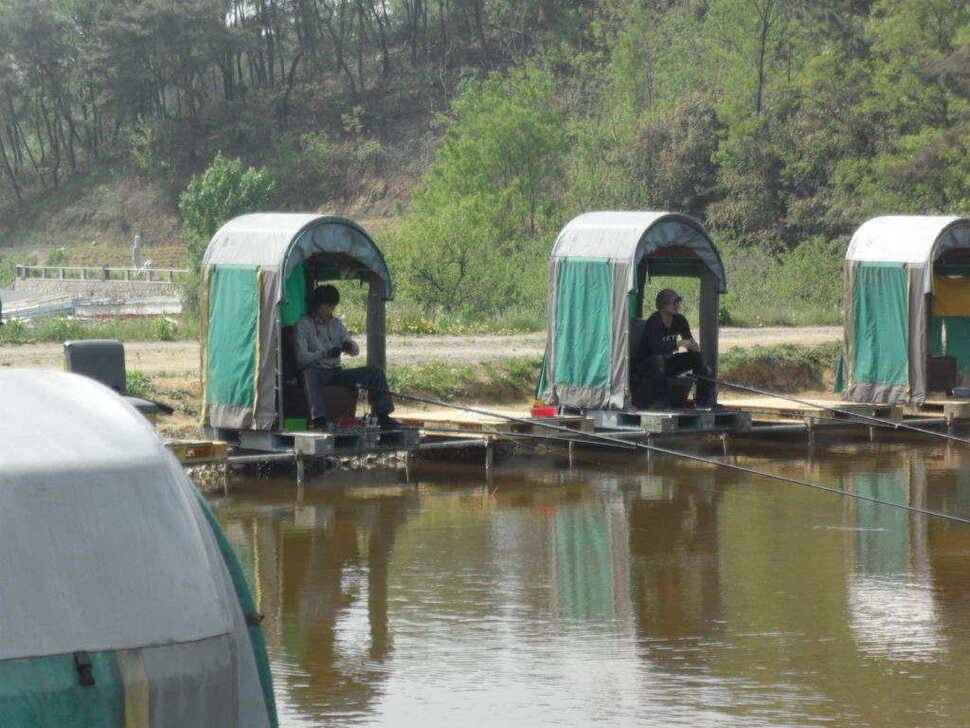 ★★★★★ 대박입니다 띄밭 낚시터 ★★★★★ (유료터정보 - 유료터조행기)
