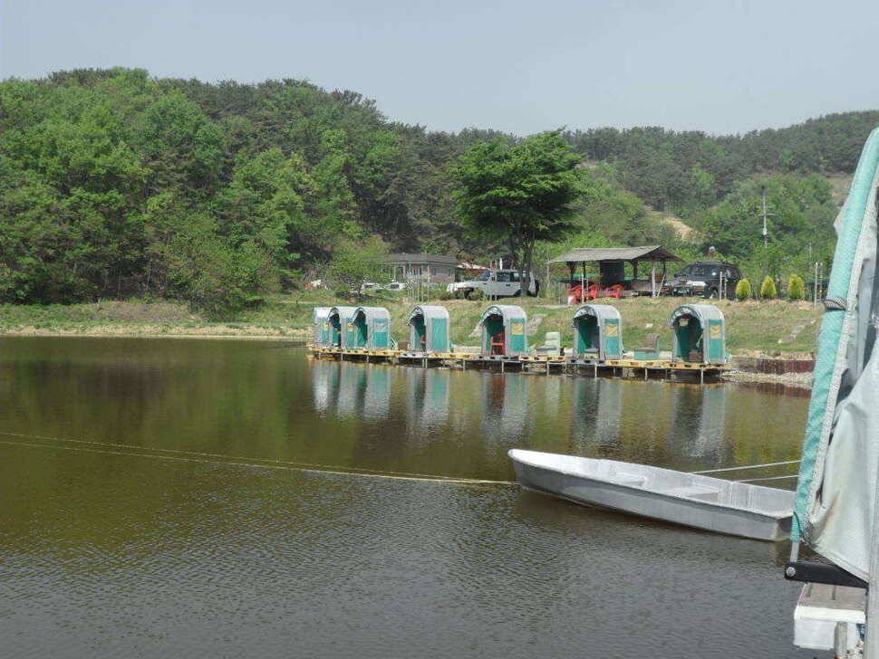 ★★★★★ 대박입니다 띄밭 낚시터 ★★★★★ (유료터정보 - 유료터조행기)