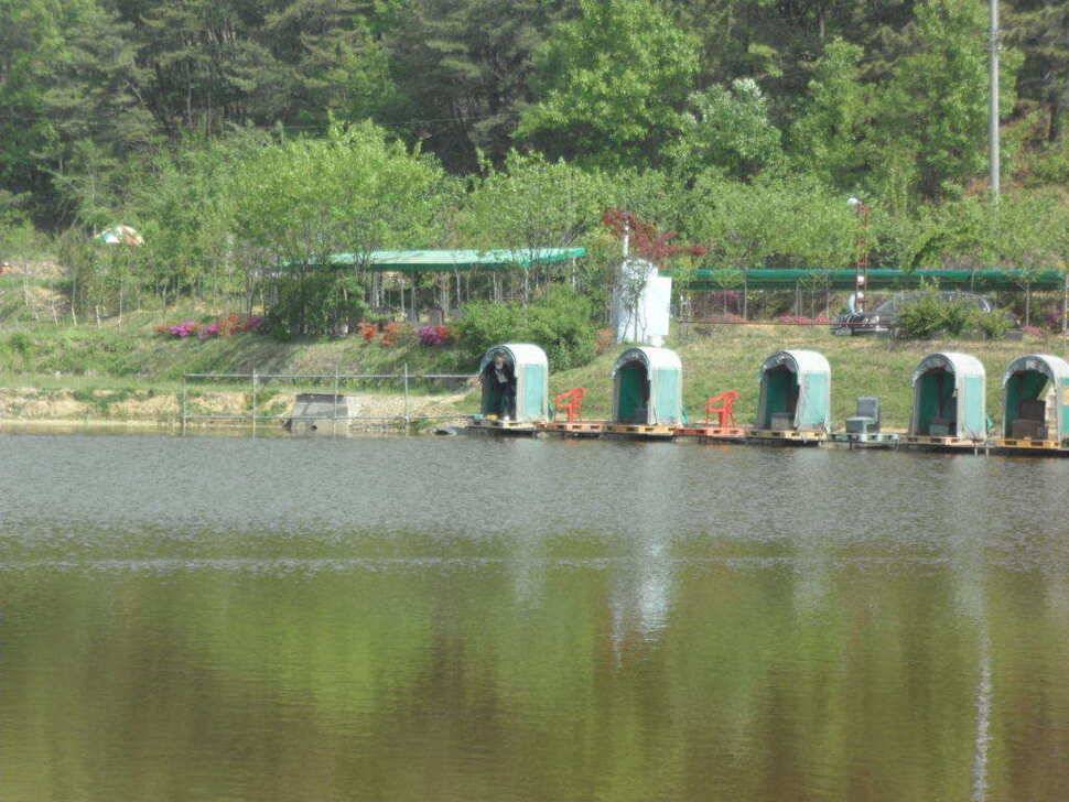★★★★★ 대박입니다 띄밭 낚시터 ★★★★★ (유료터정보 - 유료터조행기)