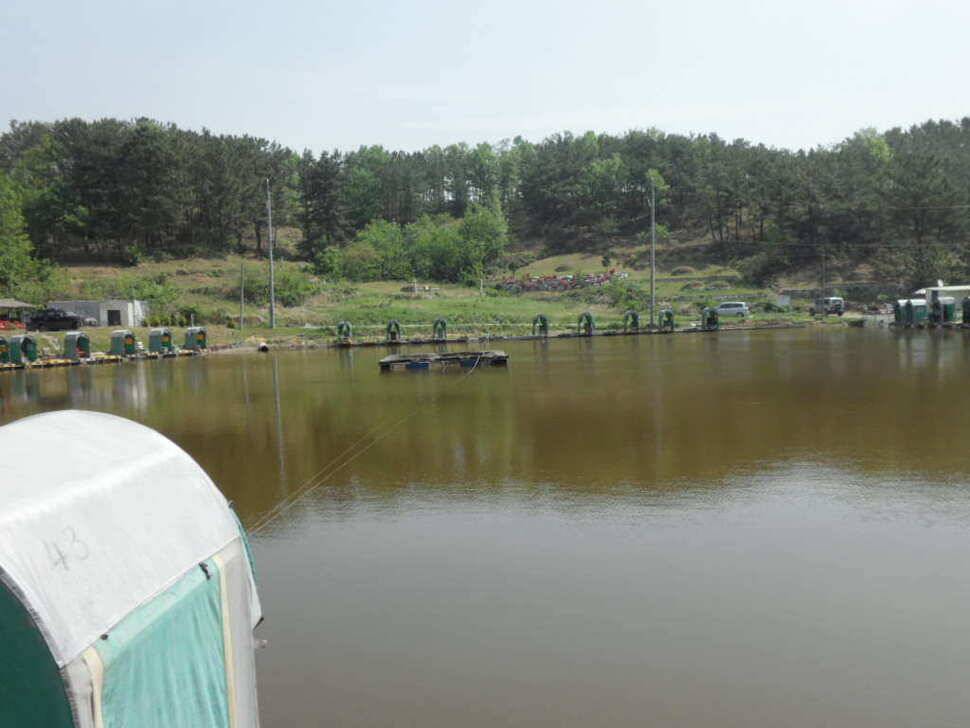 ★★★★★ 대박입니다 띄밭 낚시터 ★★★★★ (유료터정보 - 유료터조행기)