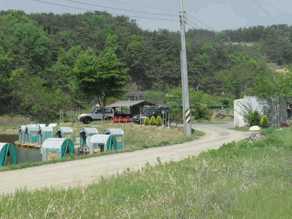 ★★★★★ 대박입니다 띄밭 낚시터 ★★★★★ (유료터정보 - 유료터조행기)