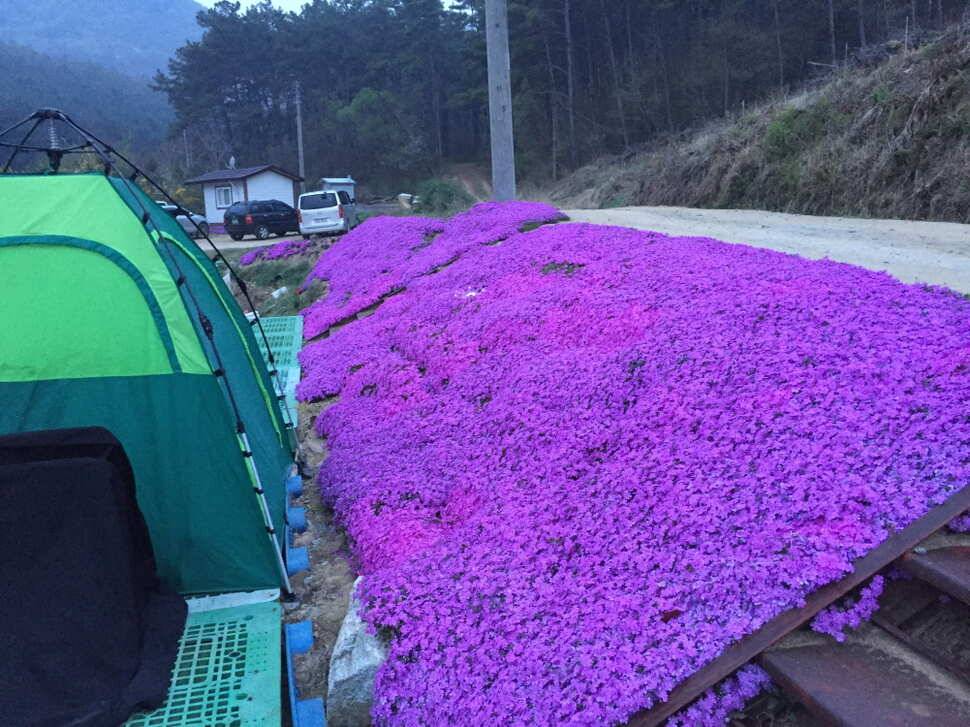 오산나근의 덕봉지조행기2 (유료터정보 - 유료터조행기)
