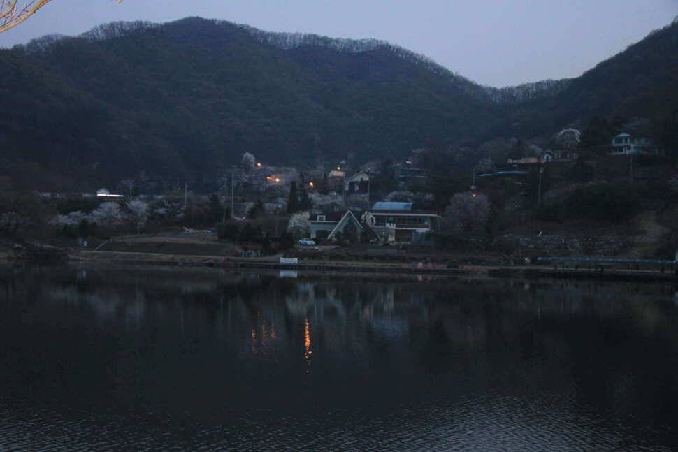 벚꽃잎이 떨어지니 4짜붕순이와 (유료터정보 - 유료터조행기)