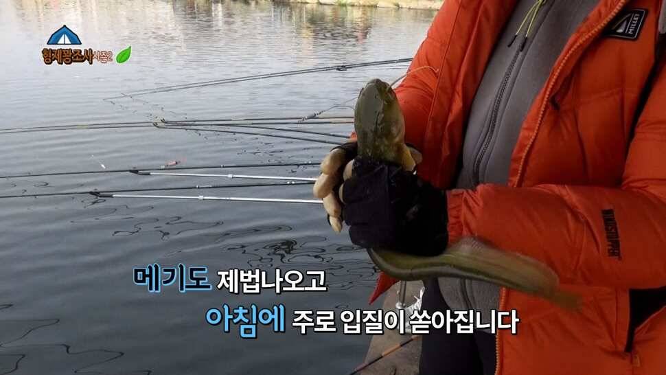 김포낚시터 산란전 토종붕어를 만나러 고고 (유료터정보 - 유료터조행기)
