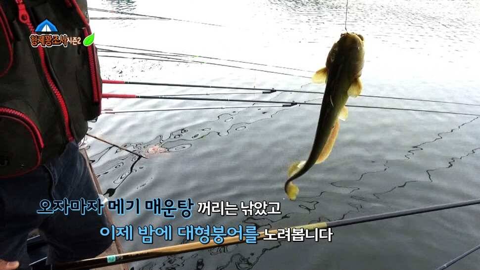 김포낚시터 산란전 토종붕어를 만나러 고고 (유료터정보 - 유료터조행기)