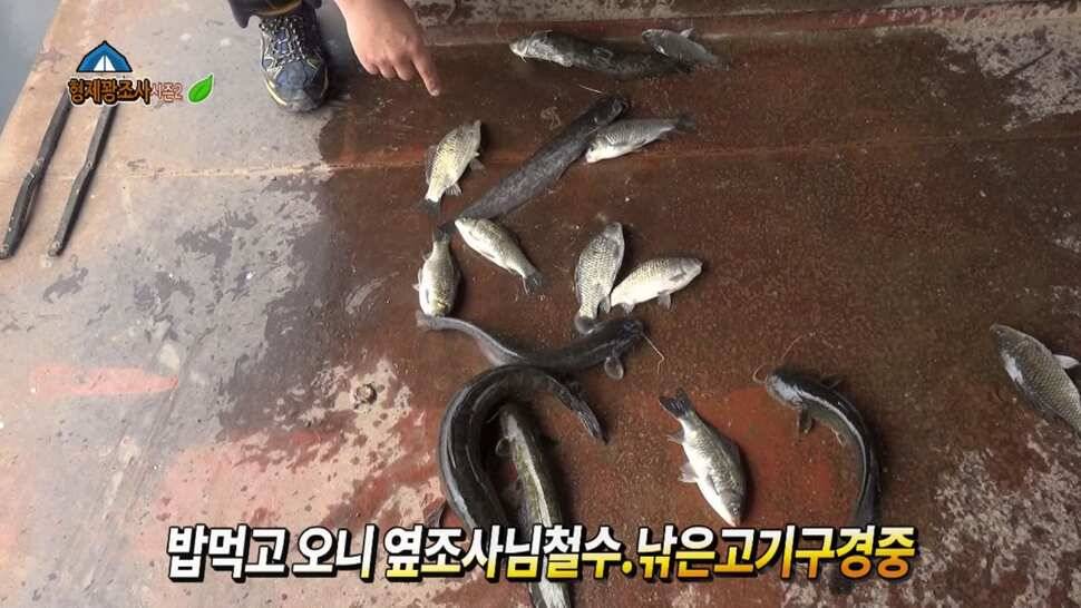김포낚시터 산란전 토종붕어를 만나러 고고 (유료터정보 - 유료터조행기)