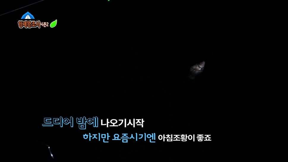 김포낚시터 산란전 토종붕어를 만나러 고고 (유료터정보 - 유료터조행기)