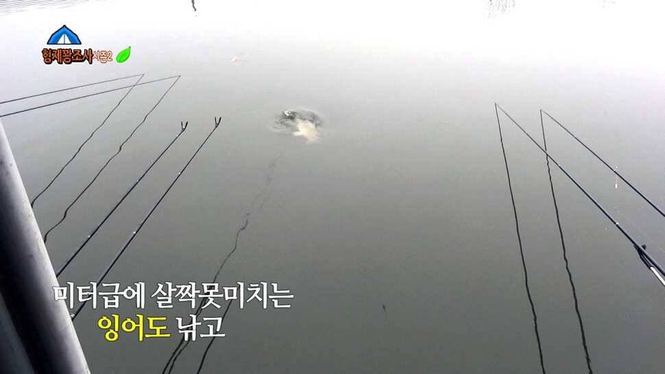 김포낚시터 산란전 토종붕어를 만나러 고고 (유료터정보 - 유료터조행기)