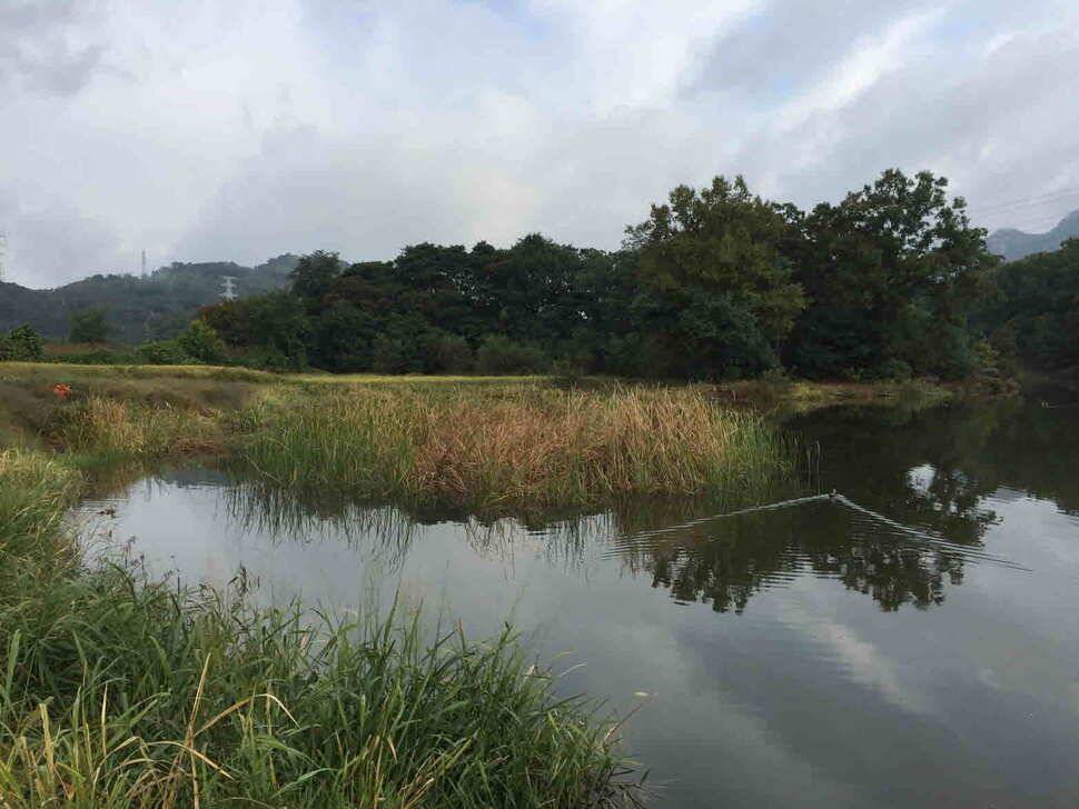 오산나그네의 양주 어둔리낚시터 조행기 (유료터정보 - 유료터조행기)