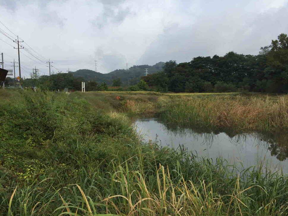 오산나그네의 양주 어둔리낚시터 조행기 (유료터정보 - 유료터조행기)