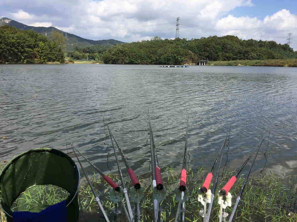 오산나그네의 양주 어둔리낚시터 조행기 (유료터정보 - 유료터조행기)