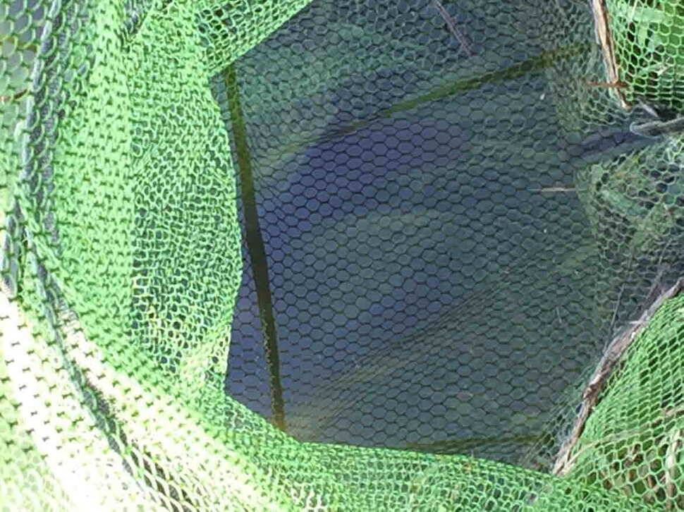 오산나그네의 양주 어둔리낚시터 조행기 (유료터정보 - 유료터조행기)