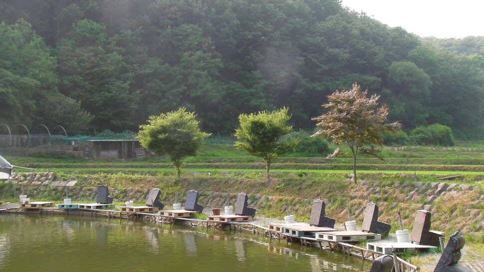 사랑하는이들과 함께 하기 좋은곳 초당낚시터 (유료터정보 - 유료터조행기)