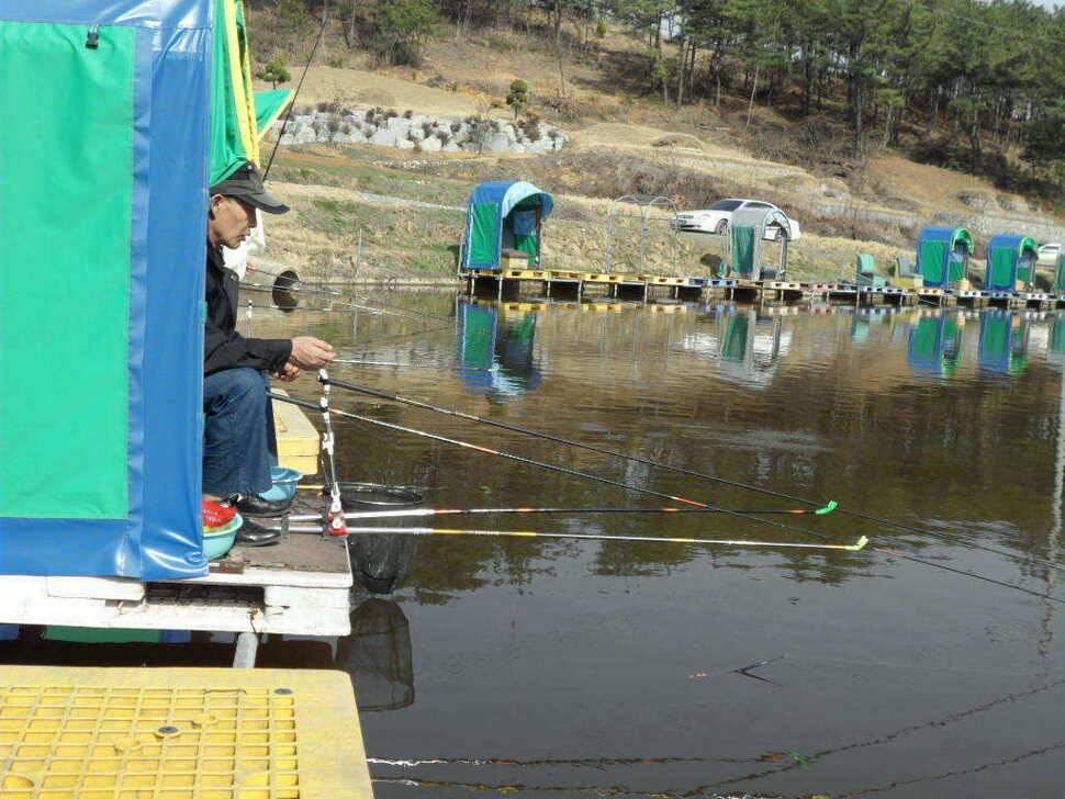 ♠♠♠ 대박 10000 만냥의 성주 띄밭 손맛 낚시터 (유료터정보 - 유료터조행기)