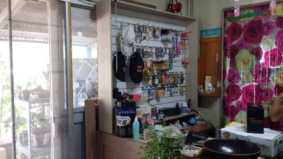 군위비들지 첫 걸음 괴물들과의 만남 (유료터정보 - 유료터조행기)