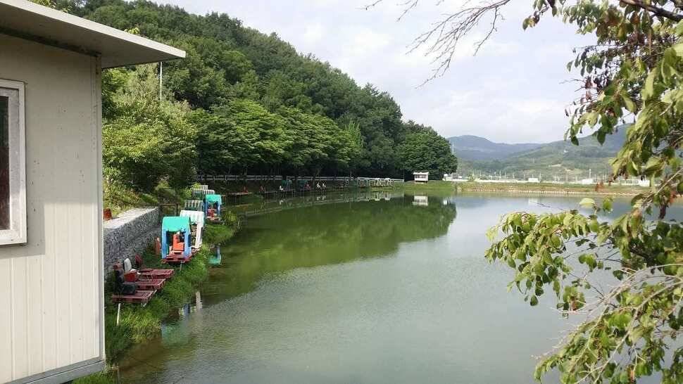 군위비들지 첫 걸음 괴물들과의 만남 (유료터정보 - 유료터조행기)