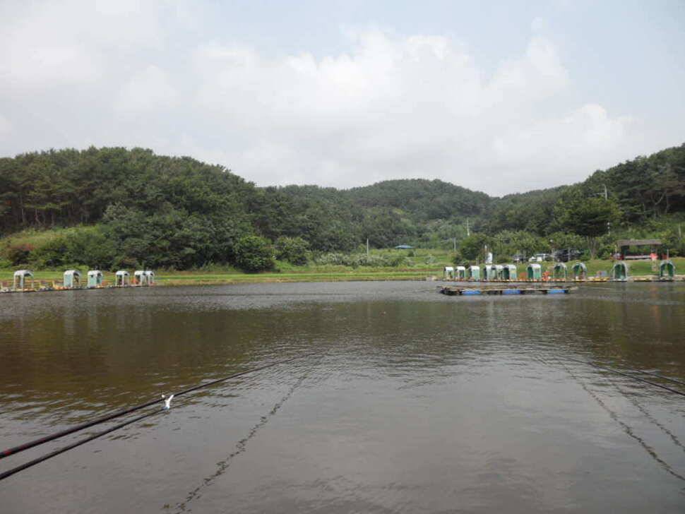 ♠♠♠ 입질 시원하고 화끈한 띄밭 낚시터에서 (유료터정보 - 유료터조행기)