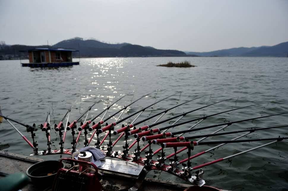 용인 송전지도 붕어들의 움직임이 시작되었습니다 (유료터정보 - 유료터조행기)