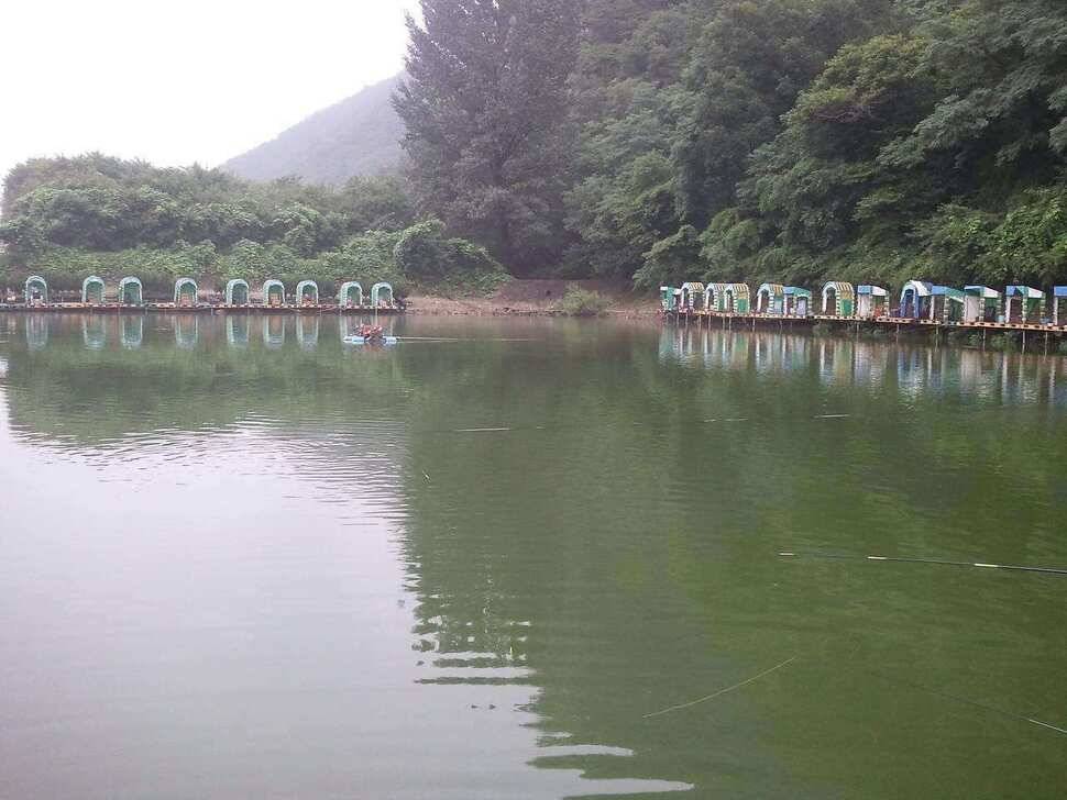 무태유료낚시터 (유료터정보 - 유료터조행기)