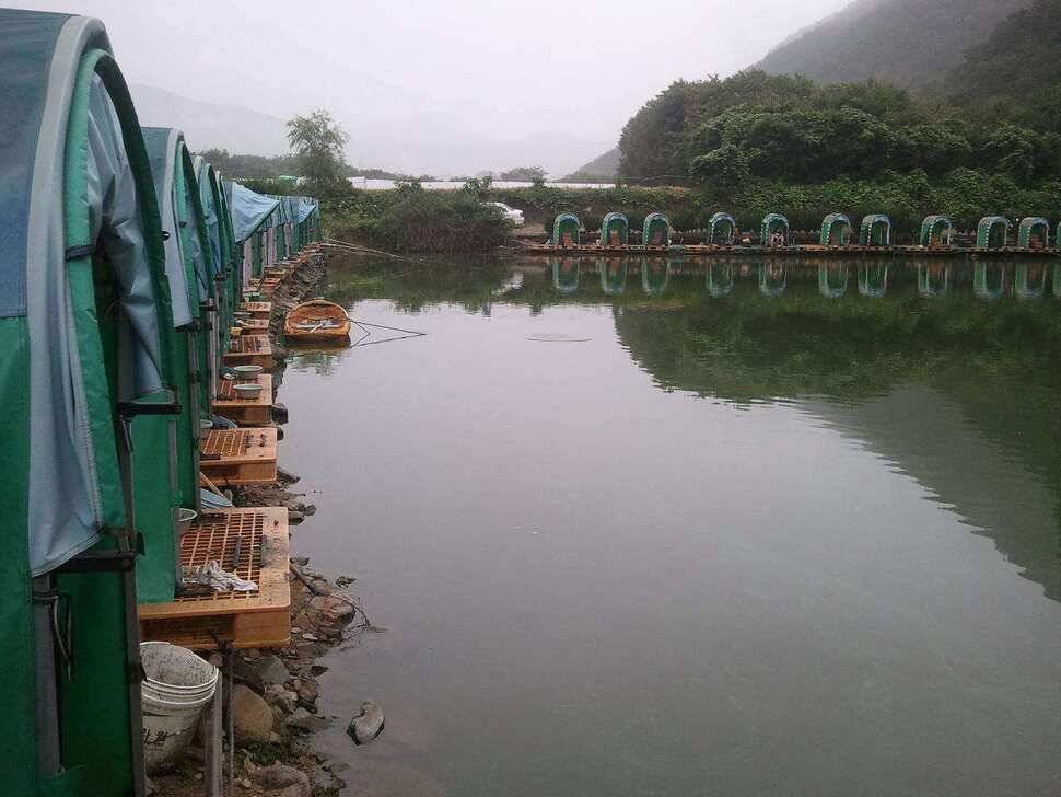 무태유료낚시터 (유료터정보 - 유료터조행기)