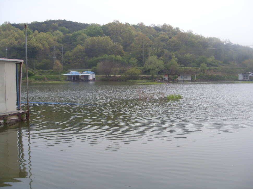당진 가교리지 조황화보 (유료터정보 - 유료터조행기)