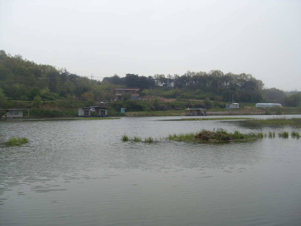 당진 가교리지 조황화보 (유료터정보 - 유료터조행기)