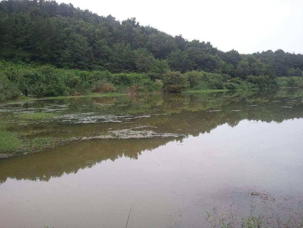 무태유료낚시터 (유료터정보 - 유료터조행기)