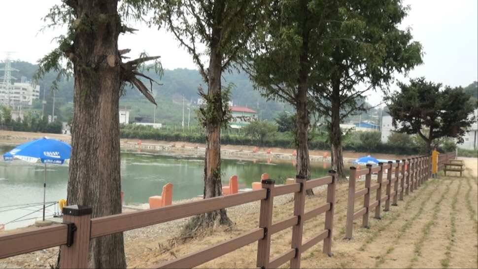 리빙tv형제꽝조사 안성거청낚시터편 (유료터정보 - 유료터조행기)
