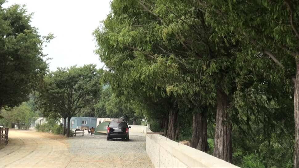 리빙tv형제꽝조사 안성거청낚시터편 (유료터정보 - 유료터조행기)