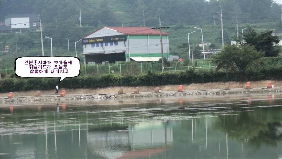 리빙tv형제꽝조사 안성거청낚시터편 (유료터정보 - 유료터조행기)