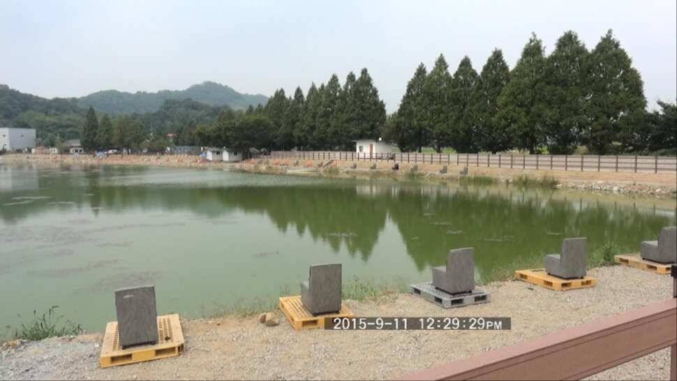 리빙tv형제꽝조사 안성거청낚시터편 (유료터정보 - 유료터조행기)