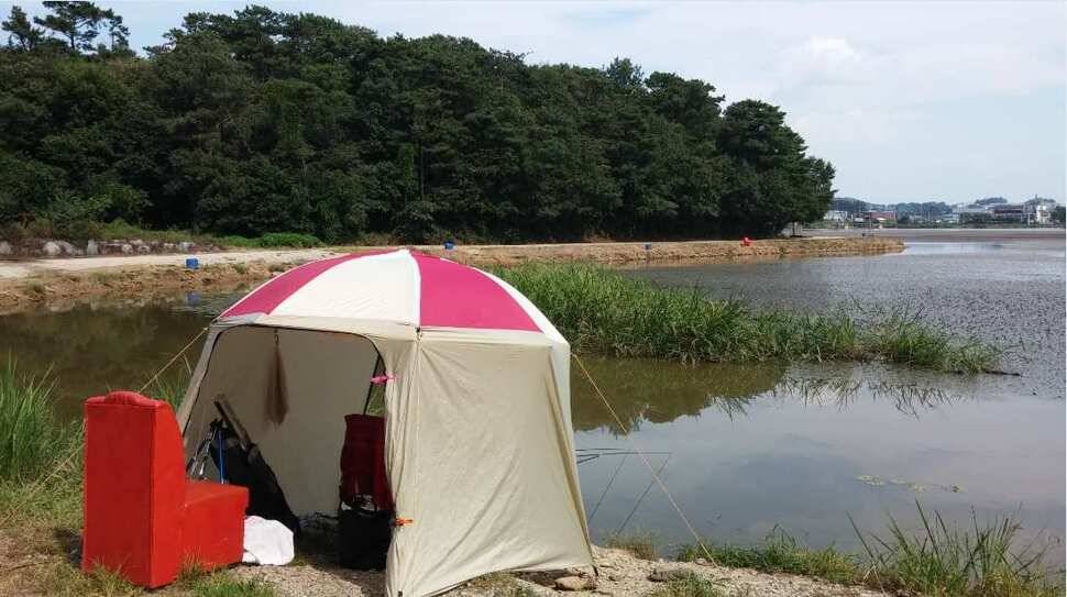 화성 고잔낚시터에서 진한 찌맛 손맛 (유료터정보 - 유료터조행기)