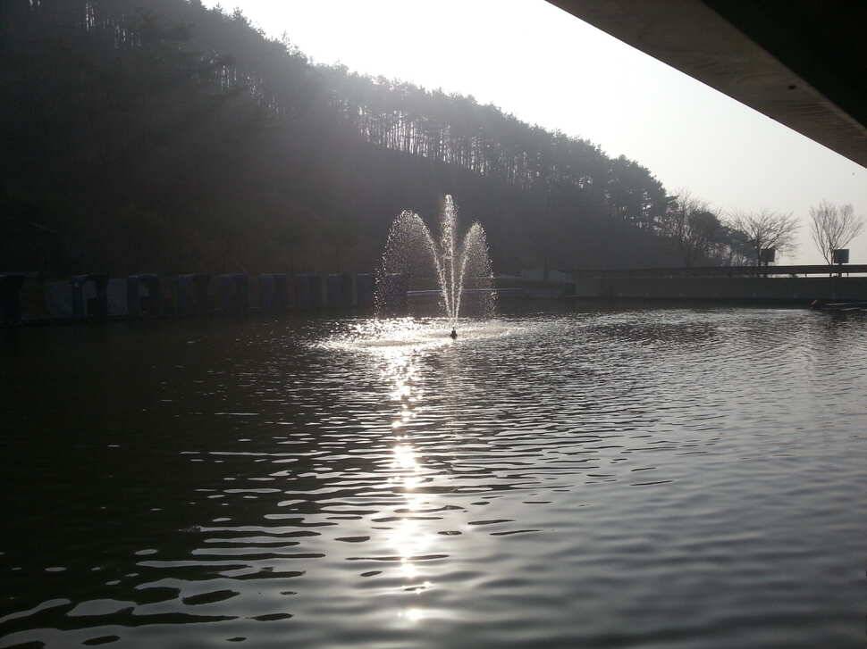 오창일신낚시터조황 (유료터정보 - 유료터조행기)
