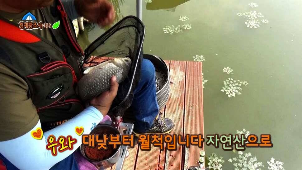 리빙tv형제꽝조사 평택호옆 계양낚시터 4짜 토종붕어를낚아라 (유료터정보 - 유료터조행기)