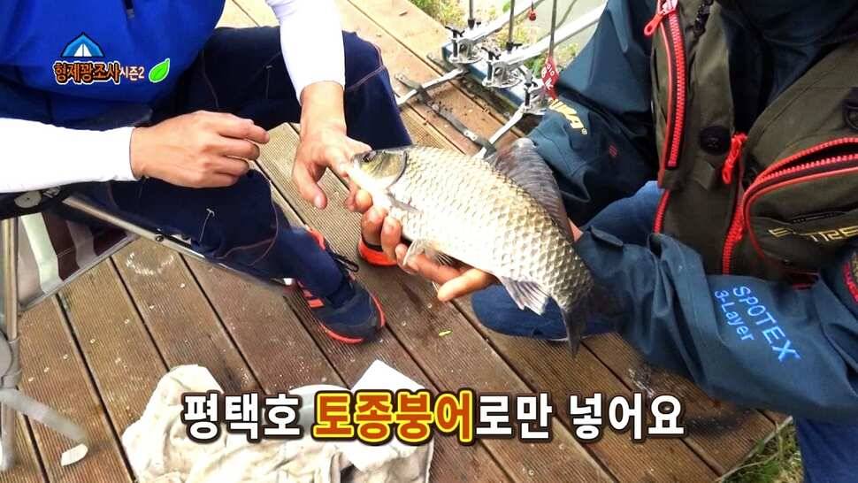 리빙tv형제꽝조사 평택호옆 계양낚시터 4짜 토종붕어를낚아라 (유료터정보 - 유료터조행기)