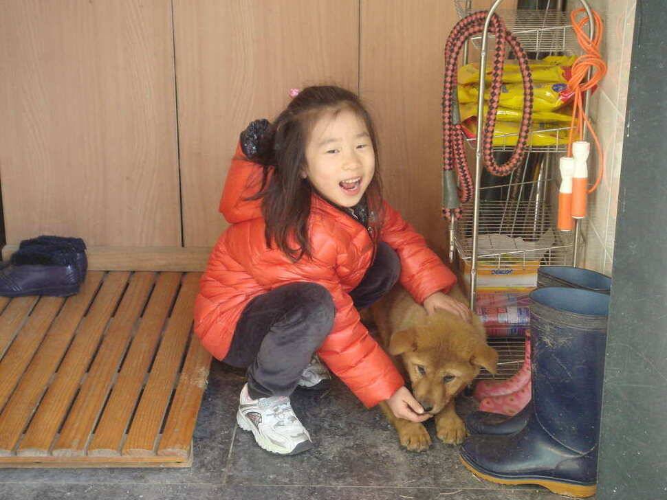 자연하우스고고싱 (유료터정보 - 유료터조행기)