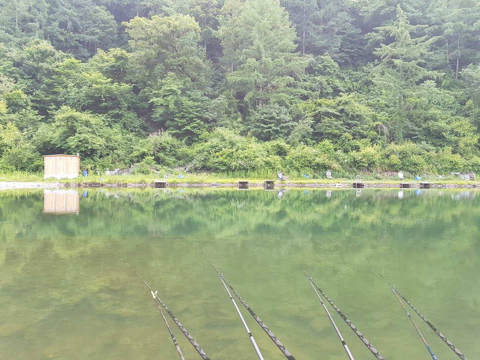 오산나그네의 제천선고지낚시터 조행기 (유료터정보 - 유료터조행기)