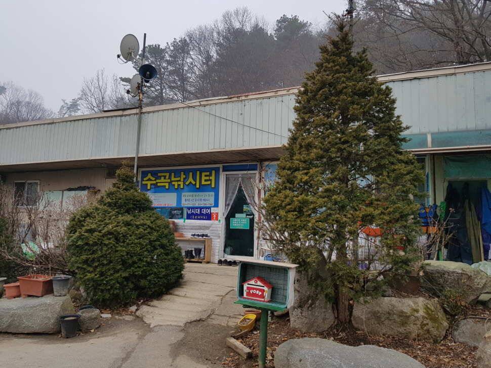 오산나그네의 양평 수곡낚시터 조행기 (유료터정보 - 유료터조행기)