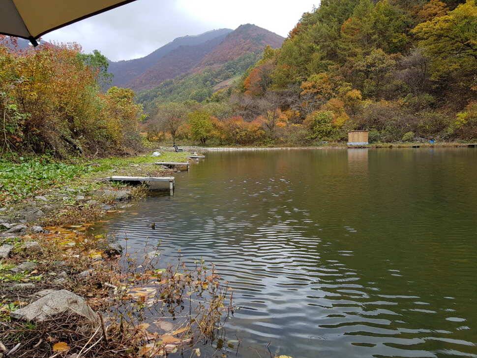 오산나그네의 도시어부찰영지 선고지 조행기 (유료터정보 - 유료터조행기)