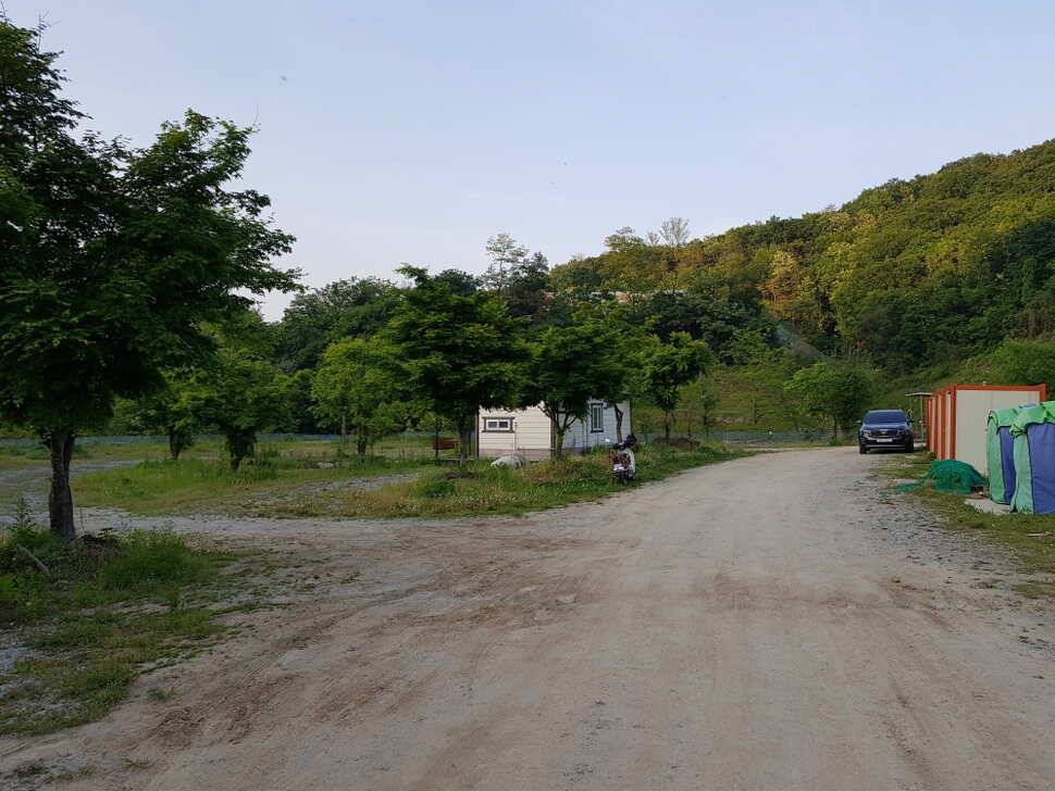 오산나그네의 음성 복상골 낚시터 조행기 (유료터정보 - 유료터조행기)