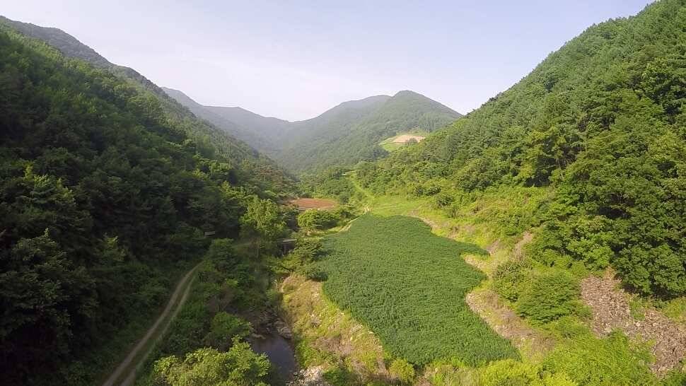 오산나그네의 제천선고지낚시터 조행기 (유료터정보 - 유료터조행기)