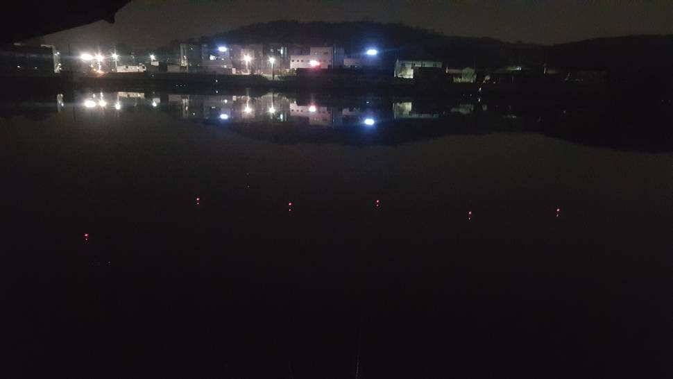 오산 서동낚시터 조행기 (유료터정보 - 유료터조행기)